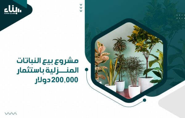 مشروع بيع النباتات المنزلية