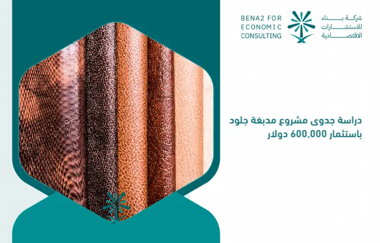 Feasibility_study_of_a_leather_dubbed_project_by_investing___600_000 (1)