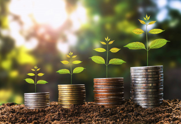"بناء" أفضل شركة دراسات جدوى بأبوظبي في التنمية الاقتصادية money growht in soil and tree concept 34152 211 - "بناء" أفضل شركة دراسات جدوى بأبوظبي في التنمية الاقتصادية
