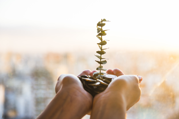 أفضل شركة دراسة جدوى وجهتك إلى القرار الاستثماري الرشيد plant growing from coins 23 2147931177 - أفضل شركة دراسة جدوى وجهتك إلى القرار الاستثماري الرشيد