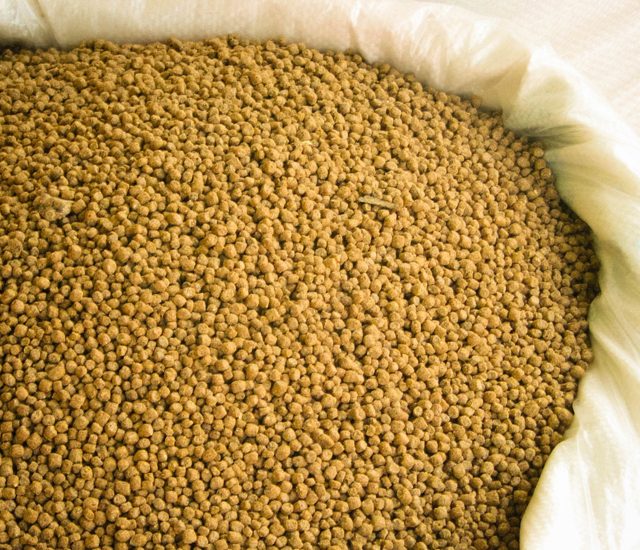 دراسة جدوى مصنع الأعلاف الحيوانية دراسة جدوى مصنع الأعلاف الحيوانية