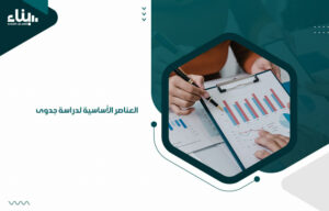 العناصر الأساسية لدراسة جدوى 