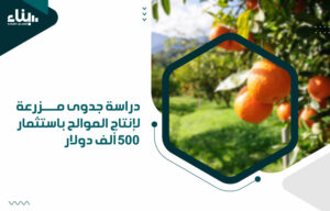 دراسة جدوى مزرعة لإنتاج الموالح