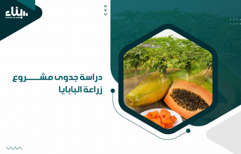 دراسة جدوى مشروع زراعة البابايا