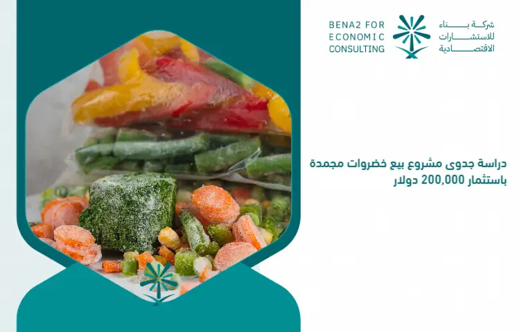 Feasibility_study_of_selling_frozen_vegetables_with_an_investment_of___200_000 (1)