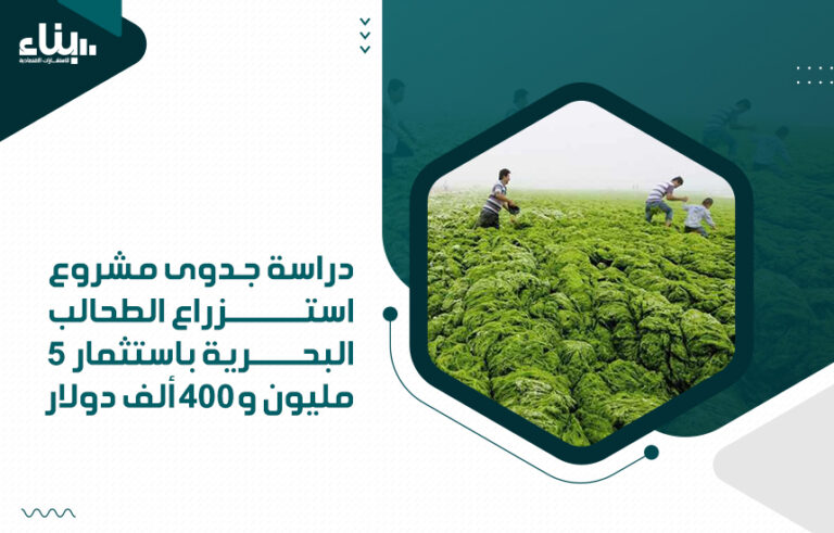 دراسة جدوى مشروع استزراع الطحالب البحرية