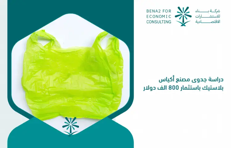 Feasibility_study_of_the_plastic_bags_factory_by_investing_800_thousand_dollars (1)