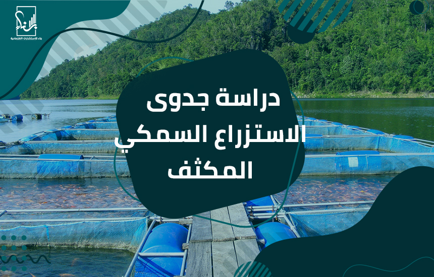 دراسة جدوى الاستزراع السمكي المكثف