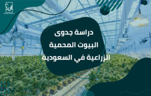 البيوت المحمية الزراعية في السعودية