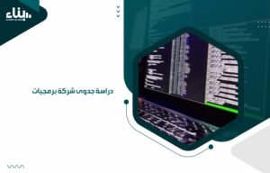 دراسة جدوى شركة برمجيات