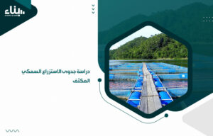 دراسة جدوى مشروع الاستزراع السمكي في الأقفاص