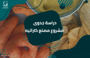 دراسة جدوى مشروع مصنع كاراتيه