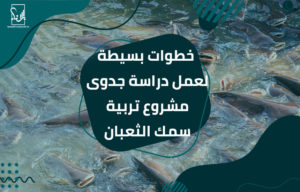 دراسة جدوى مشروع تربية سمك الثعبان