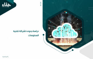 دراسة جدوى لشركة تقنية المعلومات