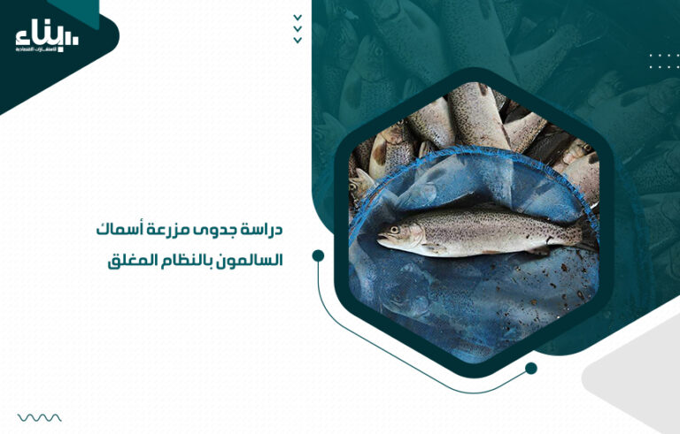 دراسة جدوى مزرعة أسماك السالمون بالنظام المغلق