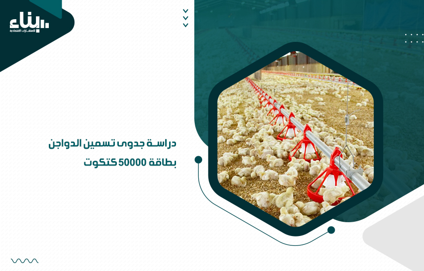 دراسة جدوى تسمين الدواجن بطاقة 50000 كتكوت