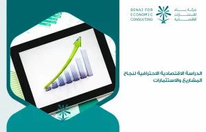 Professional_economic_study_of_the_success_of_projects_and_investments (1)