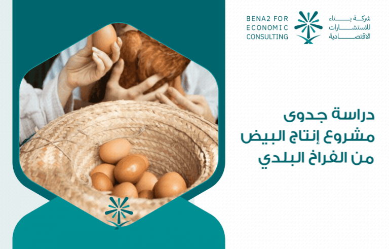 دراسة جدوى مشروع إنتاج البيض من الفراخ البلدي