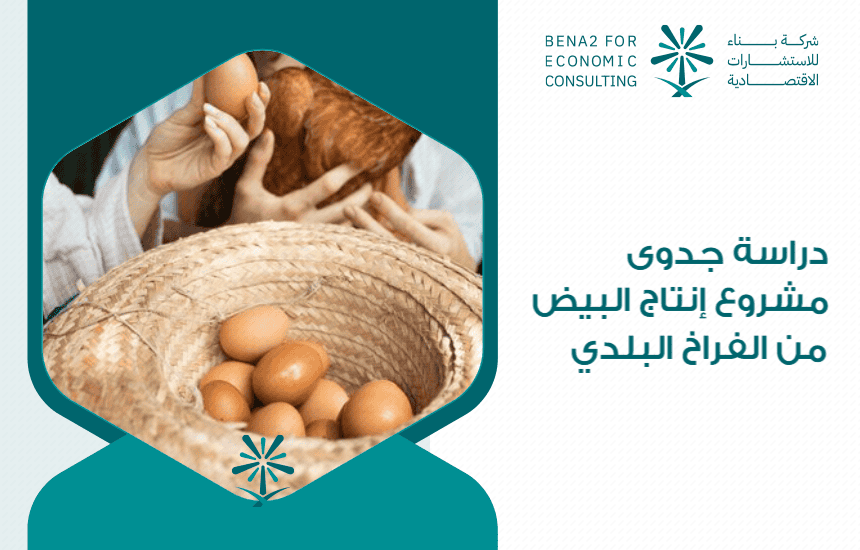 دراسة جدوى مشروع إنتاج البيض من الفراخ البلدي