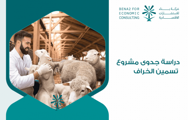دراسة جدوى مشروع تسمين الخراف