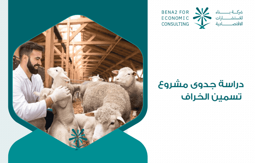 دراسة جدوى مشروع تسمين الخراف