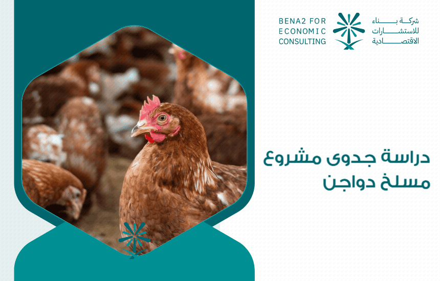 دراسة جدوى مشروع مسلخ دواجن