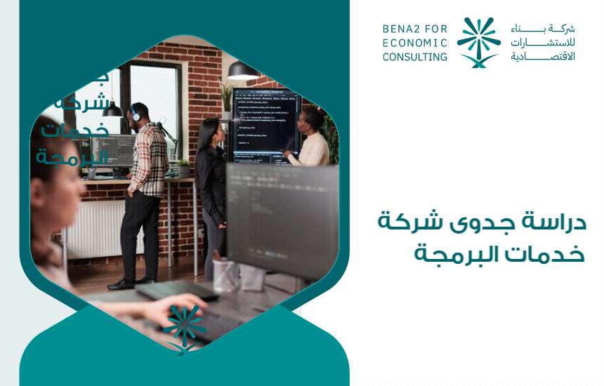 دراسة جدوى شركة خدمات البرمجة