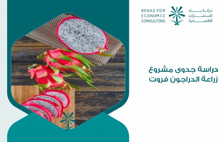 دراسة جدوى مشروع زراعة الدراجون فروت