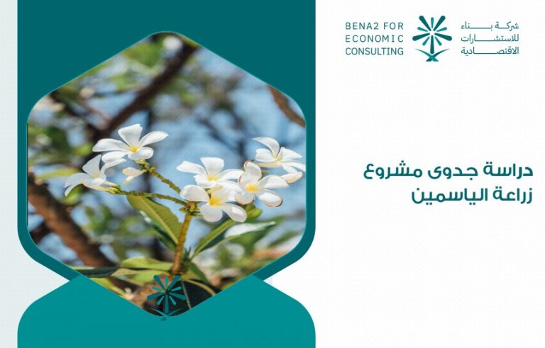 دراسة جدوى مشروع زراعة الياسمين