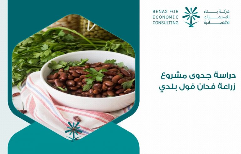 دراسة جدوى مشروع زراعة فدان فول بلدي