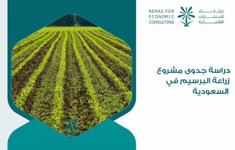 دراسة جدوى مشروع زراعة البرسيم في السعودية