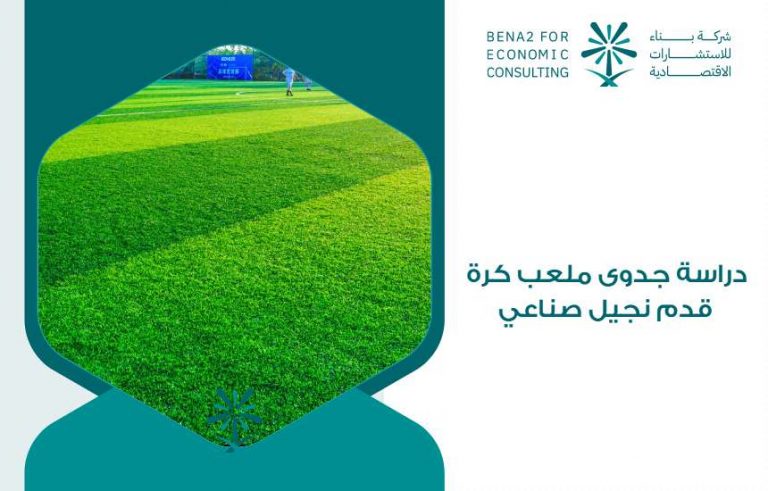 دراسة جدوى ملعب كرة قدم نجيل صناعي