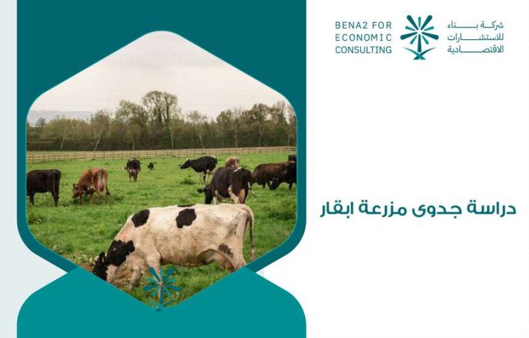 دراسة جدوى مزرعة ابقار