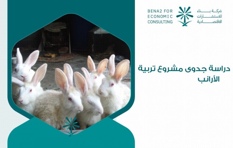 دراسة جدوى مشروع تربية الأرانب