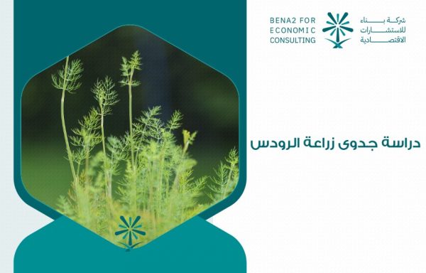 دراسة جدوى زراعة الرودس