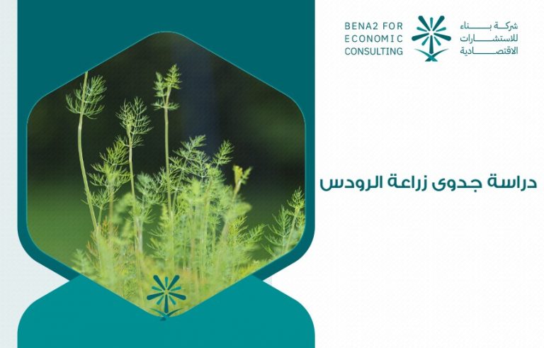 دراسة جدوى زراعة الرودس