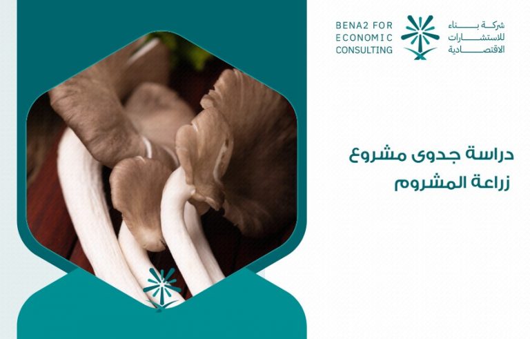 دراسة جدوى مشروع زراعة المشروم