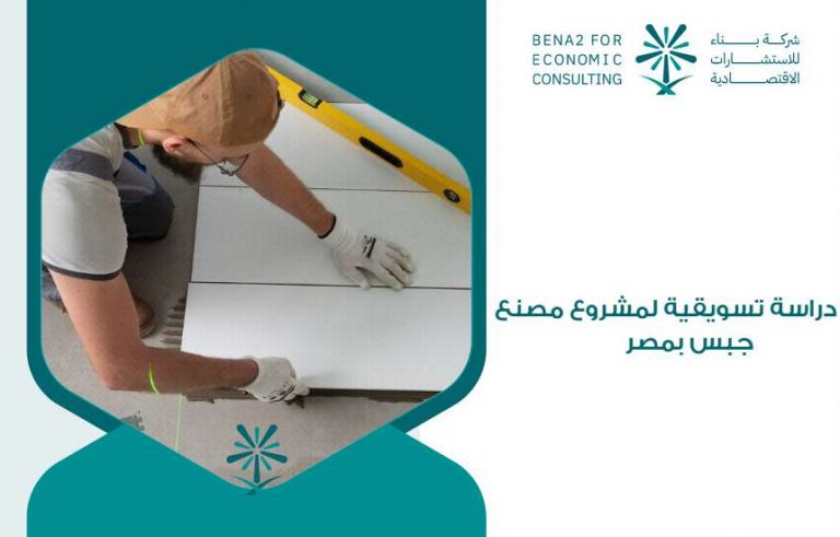 مشروع مصنع جبس