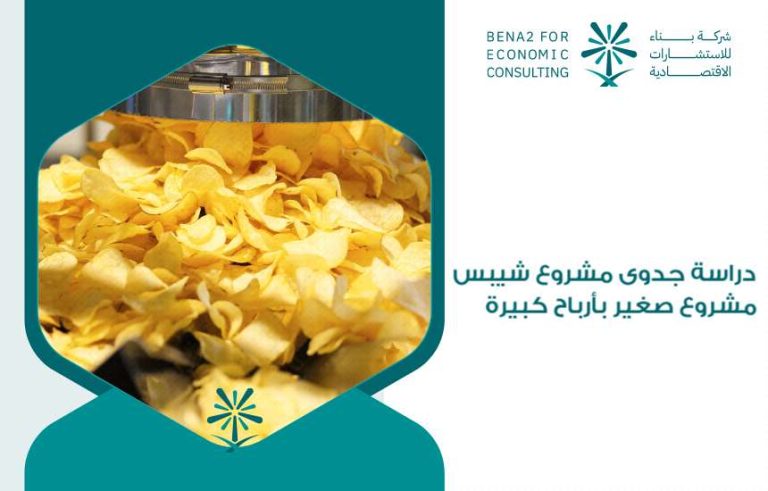دراسة جدوى مشروع شيبس