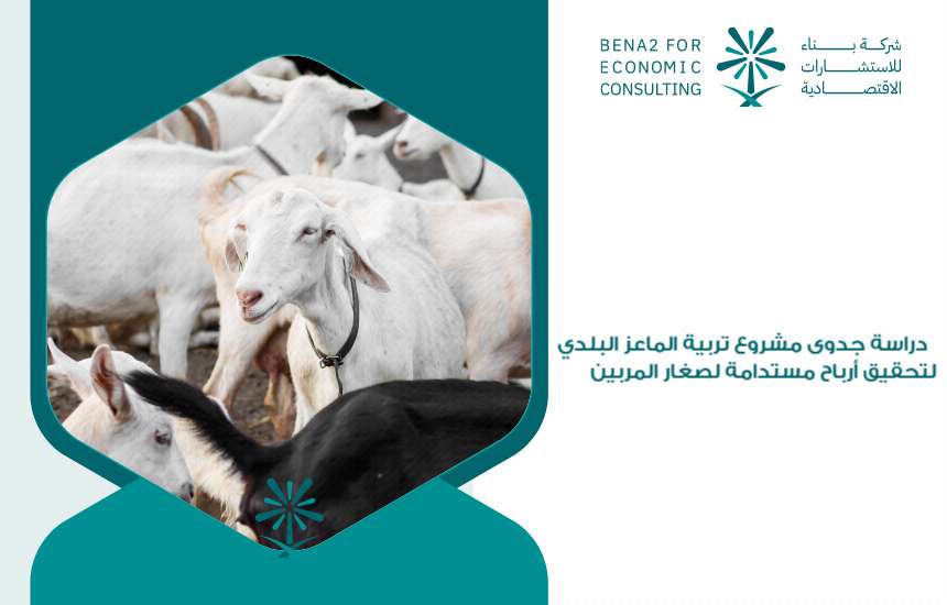 مشروع تربية الماعز البلدي