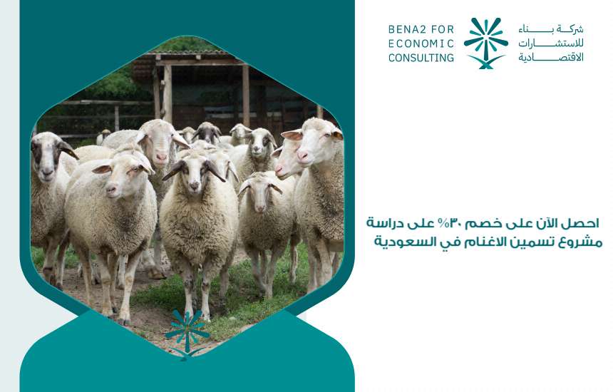 مشروع تسمين الاغنام في السعودية
