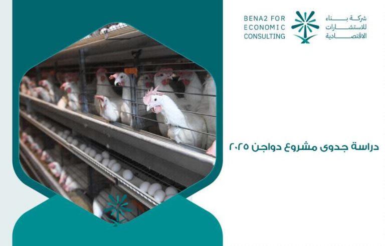 دراسة جدوى مشروع دواجن 2025