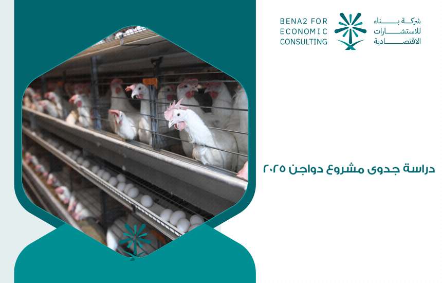 دراسة جدوى مشروع دواجن 2025