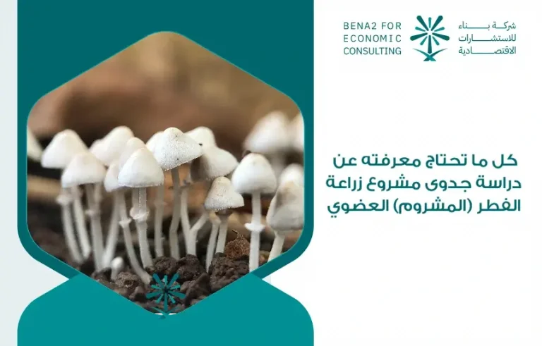 All_you_need_to_know_about_the_feasibility_study_of_the_organic_mushroom_transplant_project (1)