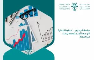 Feasibility_study_..._a_starting_step_for_any_medium_investor_looking_for_success (1)