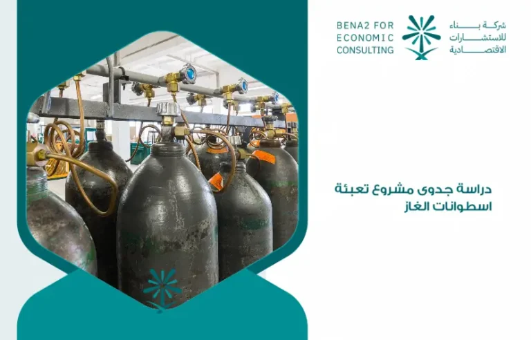 Feasibility_study_of_the_gas_cylinder_mobilization_project (1)