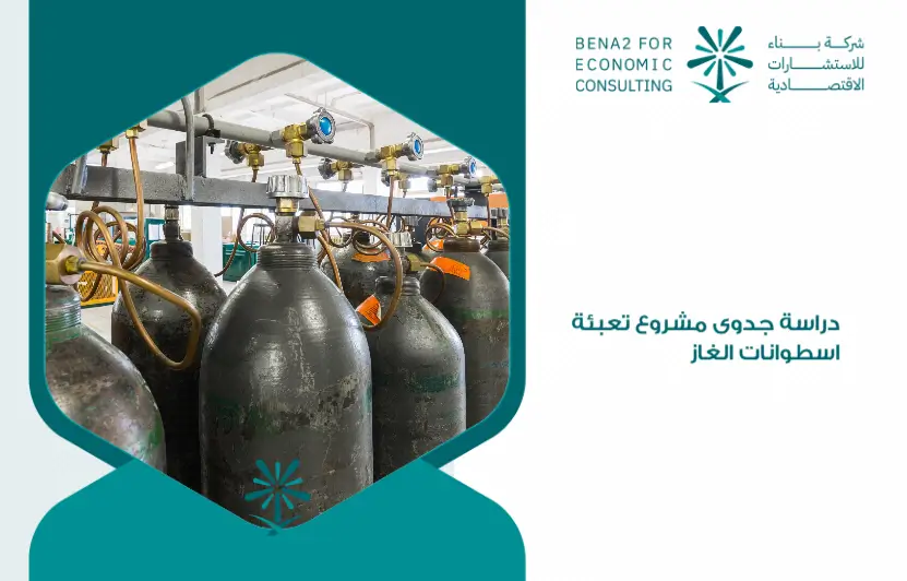 Feasibility_study_of_the_gas_cylinder_mobilization_project (1)