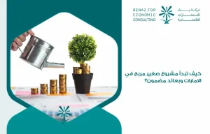 How_do_you_start_a_profitable_small_project_in_the_Emirates_with_guaranteed_returns_ (1)