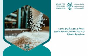 دراسة جدوى مشروع مضرب ارز: دليلك الشامل لنجاح المشروع من البداية للنهاية