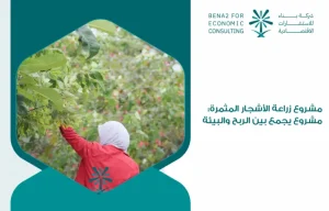 Fruit_tree_planting_project__a_project_that_combines_profit_and_the_environment (1)